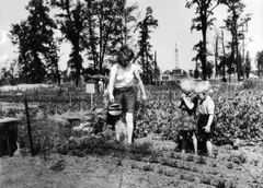 Tiergarten in 1945